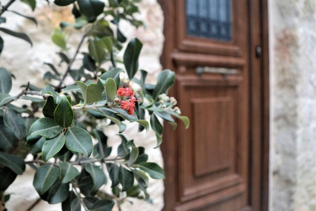 Malama's Maisonette At The Historic Center Apartment *